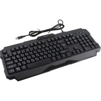 Клавиатура SmartBuy RUSH WARRIOR SBK-308G-K черная, USB, мультимедийная